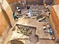 2023全國十大參評項目——河南永城王莊遺址