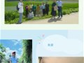 金溪縣老年大學師生小陂窯遺址探尋