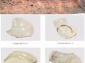廣西古代名窯——北流平政嶺垌窯址