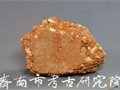 濟南考古——張馬屯遺址