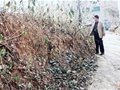 山東省寧陽縣磁窯鎮古瓷窯址