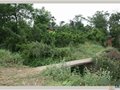 蒲江窯陶瓷工藝與生產(chǎn)遺跡